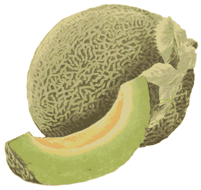 Green Cantaloup PNG Clipart