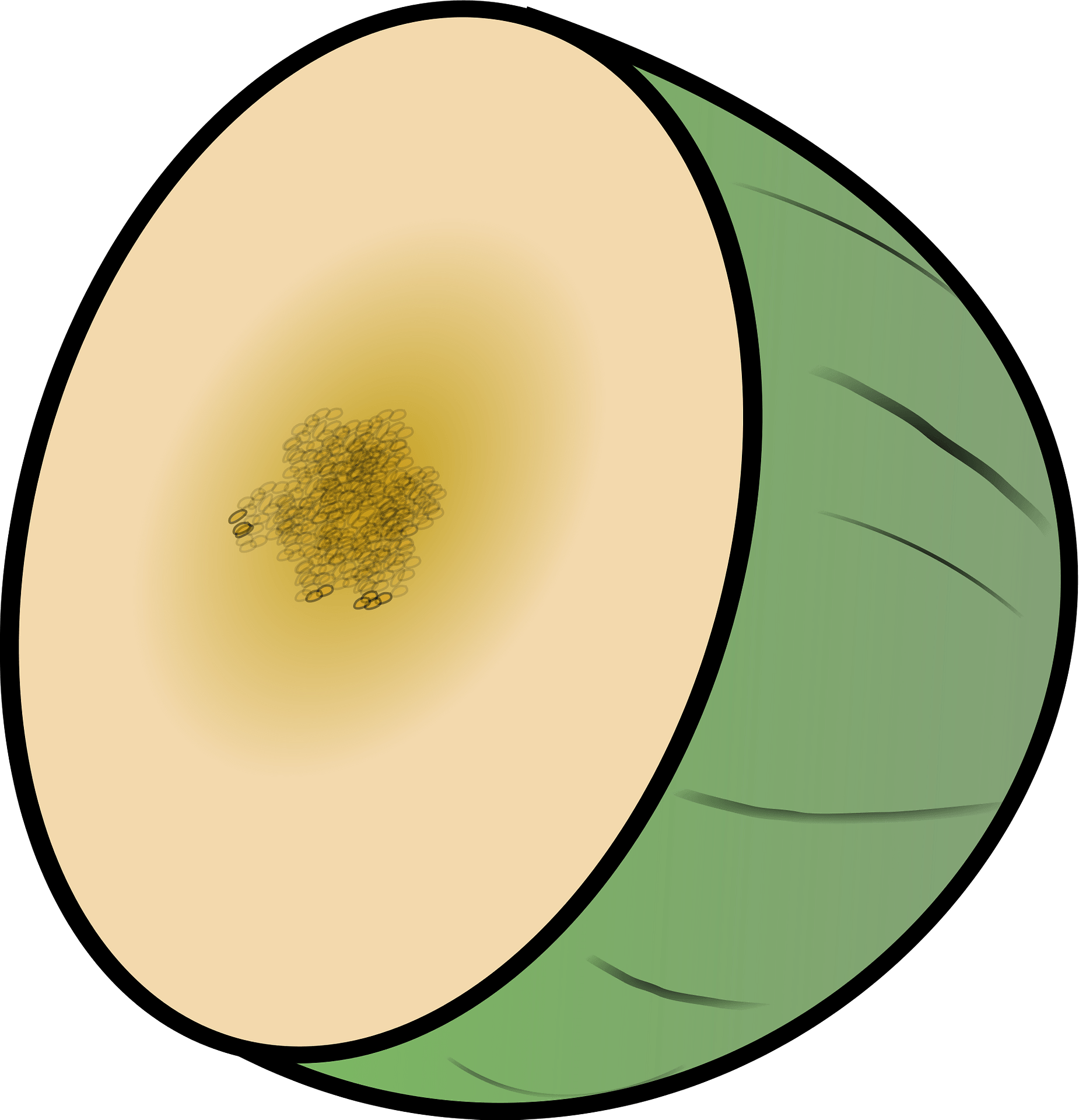 Green Cantaloupe PNG Image