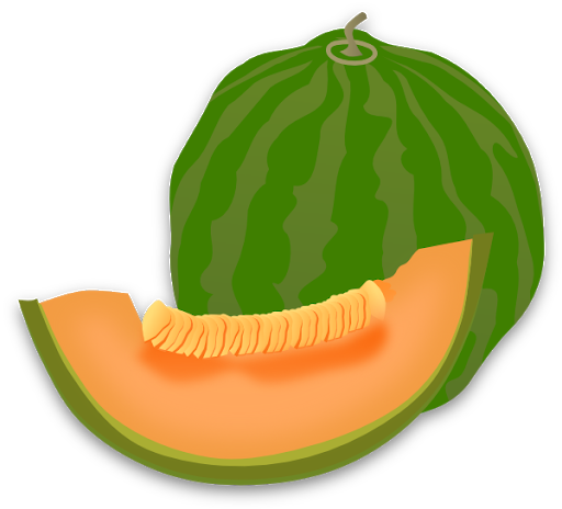 Cantaloupe verde transparente PNG