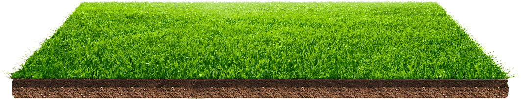Green Field PNG File