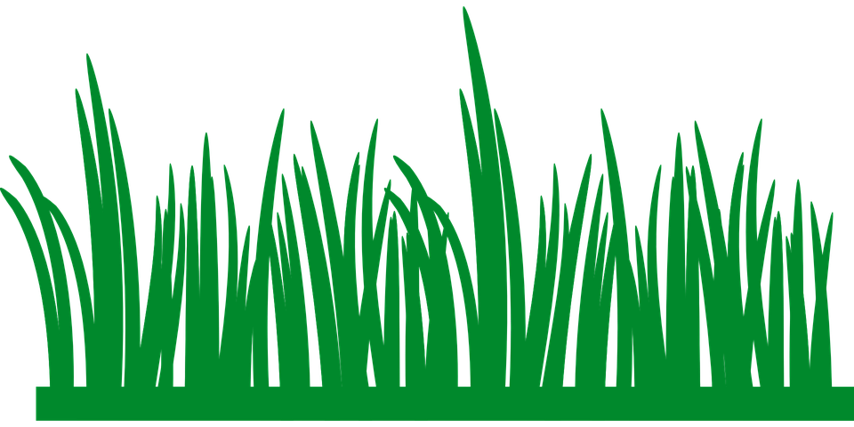 Image PNG de champ vert
