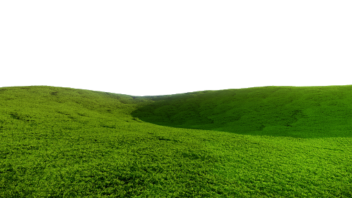 Green Grass Field PNG Image