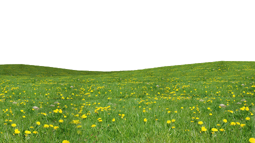 Green Grass Field PNG Transparent Image