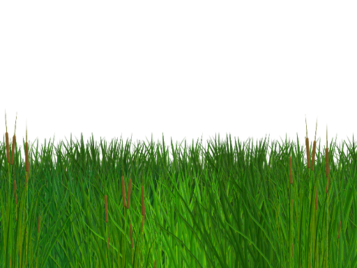 Foto Trasparente del campo di erba verde PNG