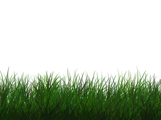 Campo di erba verde PNG Trasparente