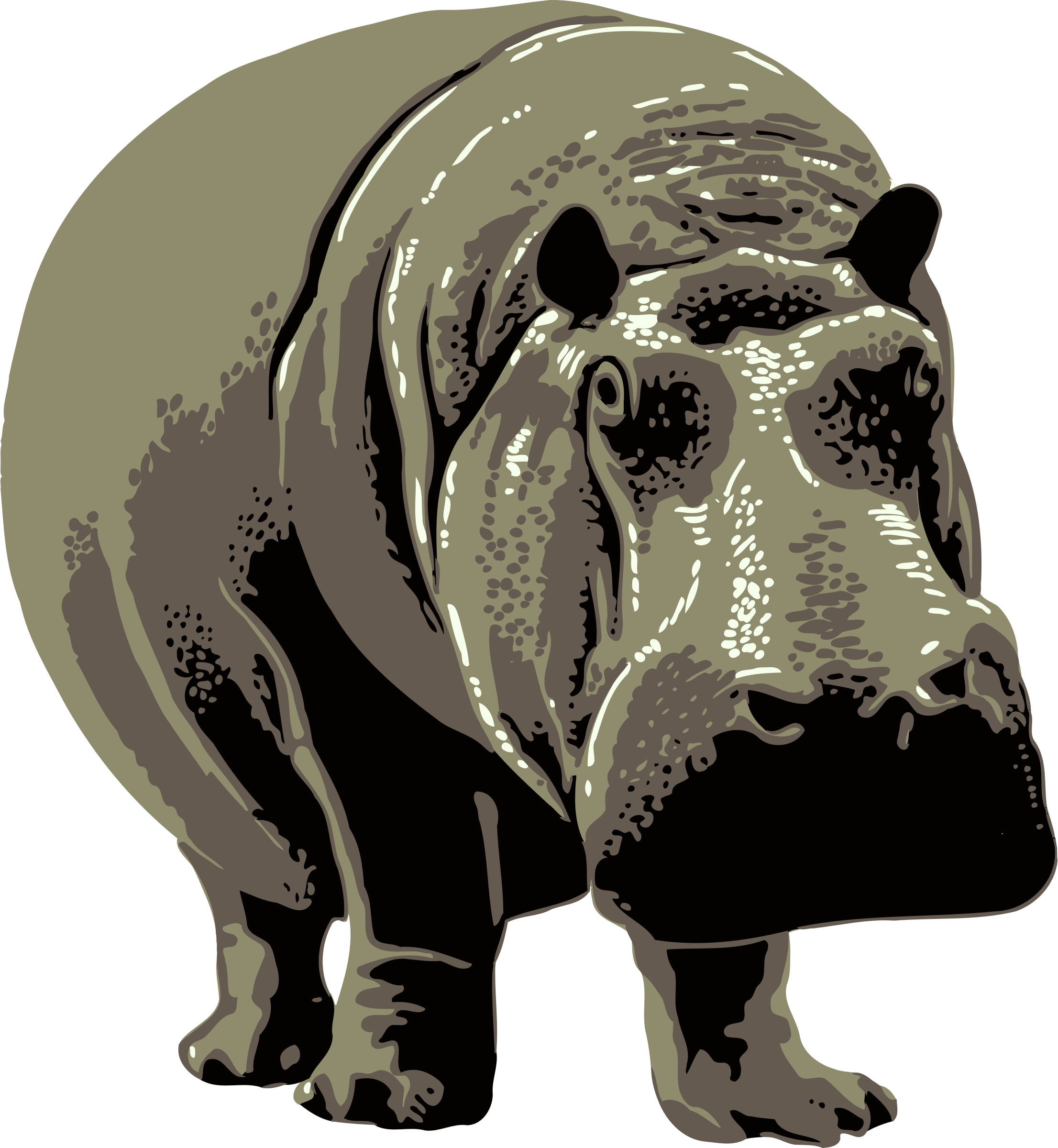 Hippo PNG File