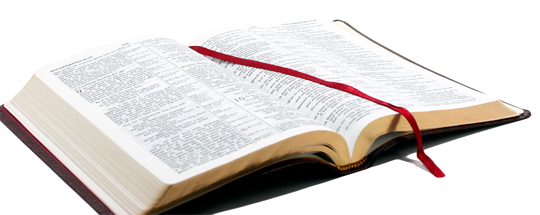 Bíblia Sagrada PNG Clipart