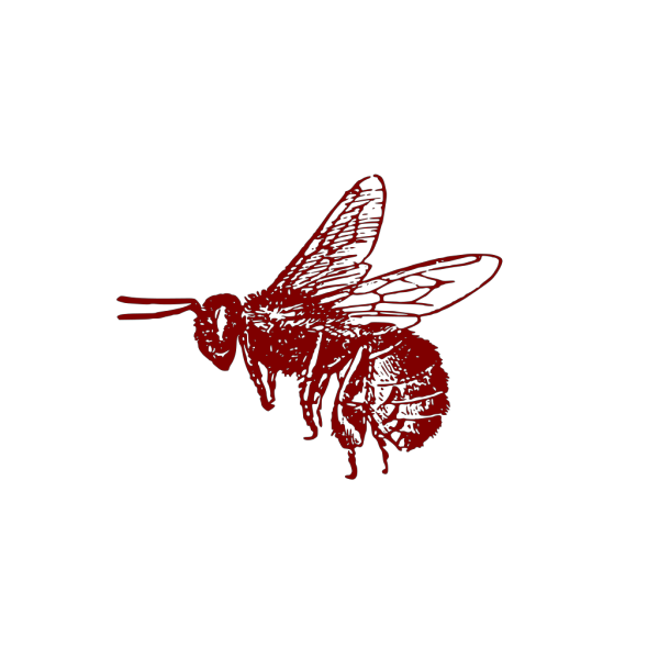 Honey Bee PNG Clipart