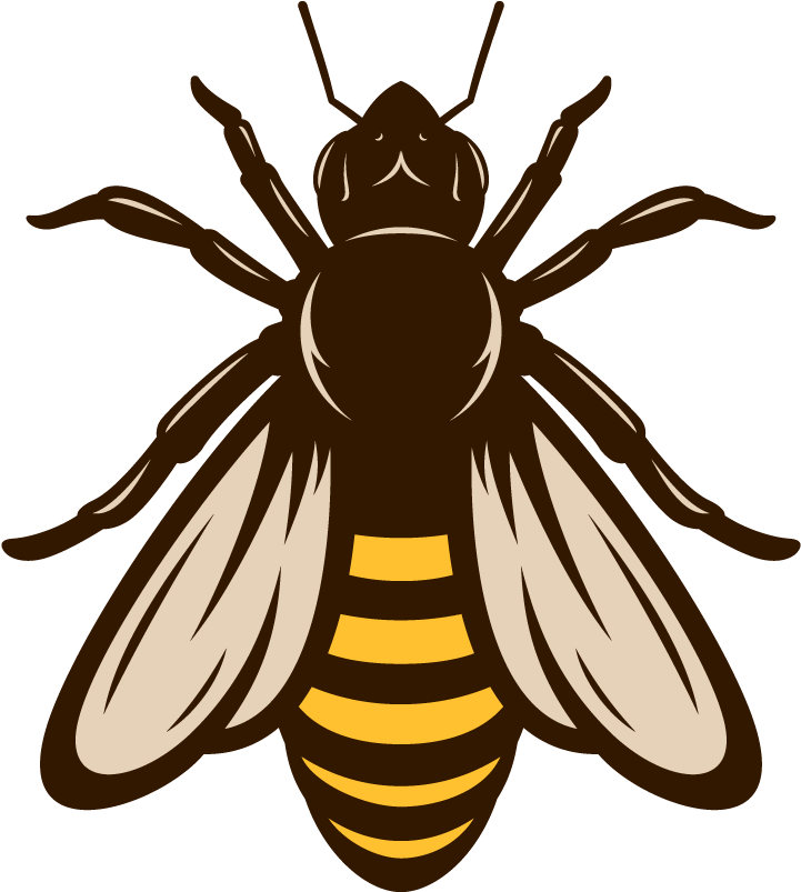 Honey Bee Vector PNG Pic