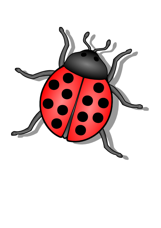 Lady Bug PNG gambar