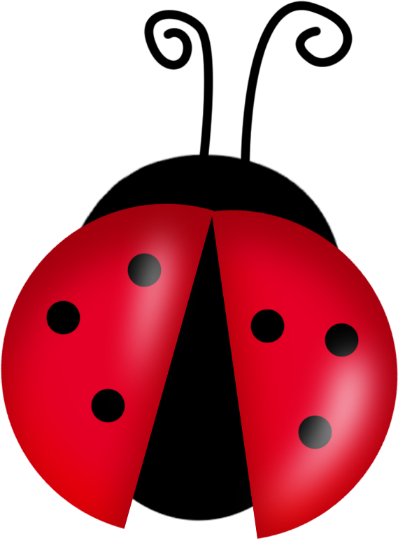 Ladybug Cute Insect PNG Image