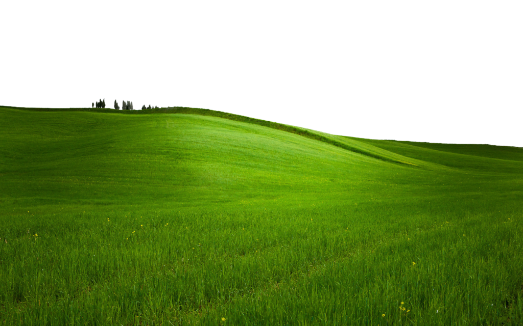 Пансистовое зеленое поле PNG Clipart