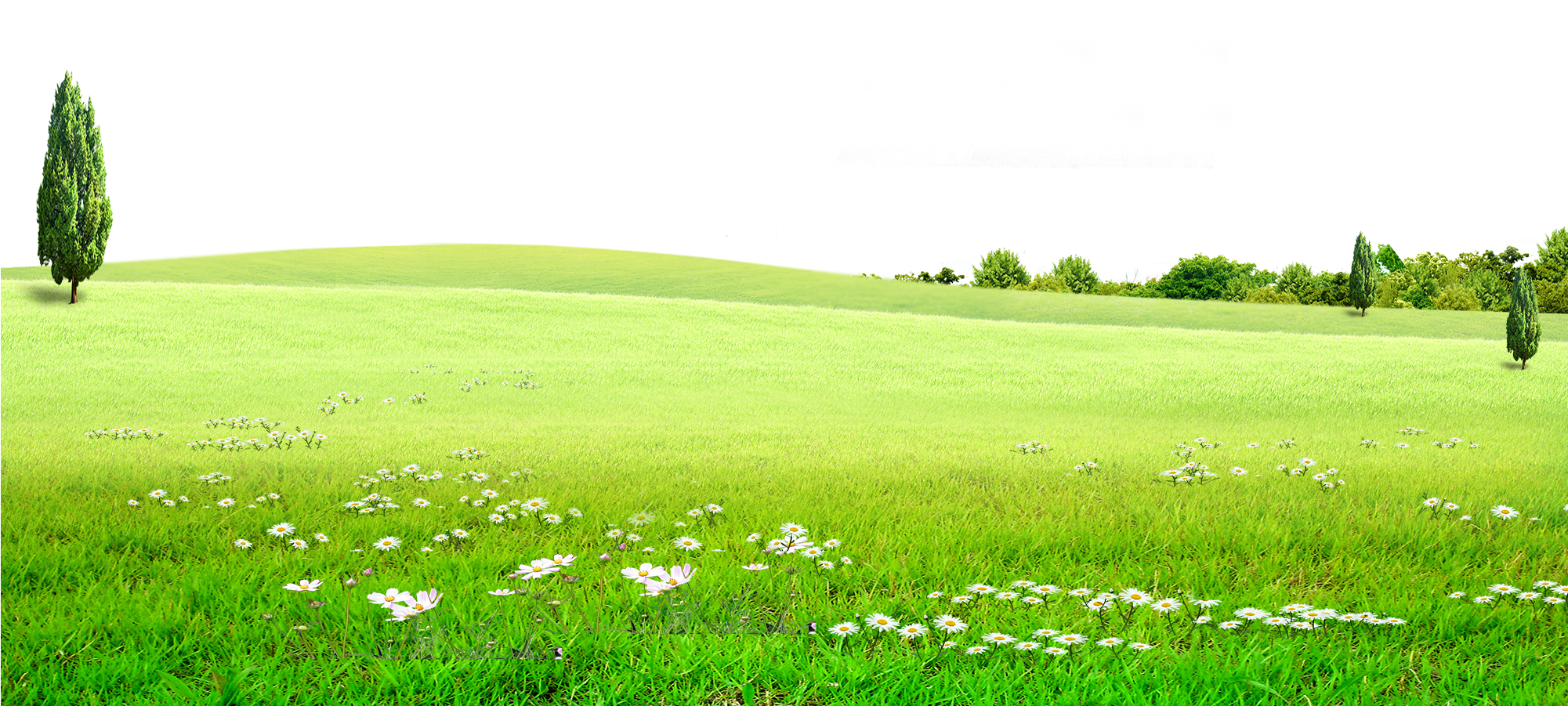 Пейзажное зеленое поле PNG Image