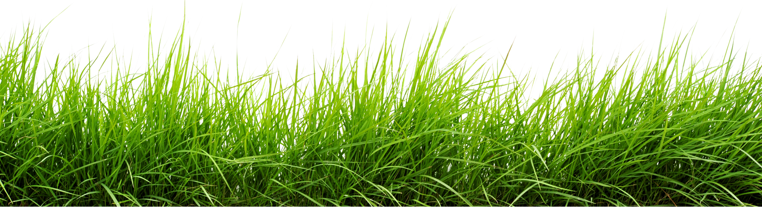 Landscape Green Grass Field PNG gambar Transparan
