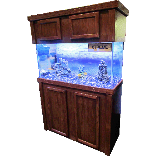 Large Fish Tank Transparent PNG