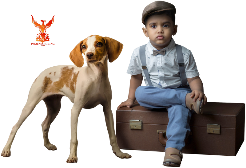 Petit garçon et chien PNG Photos