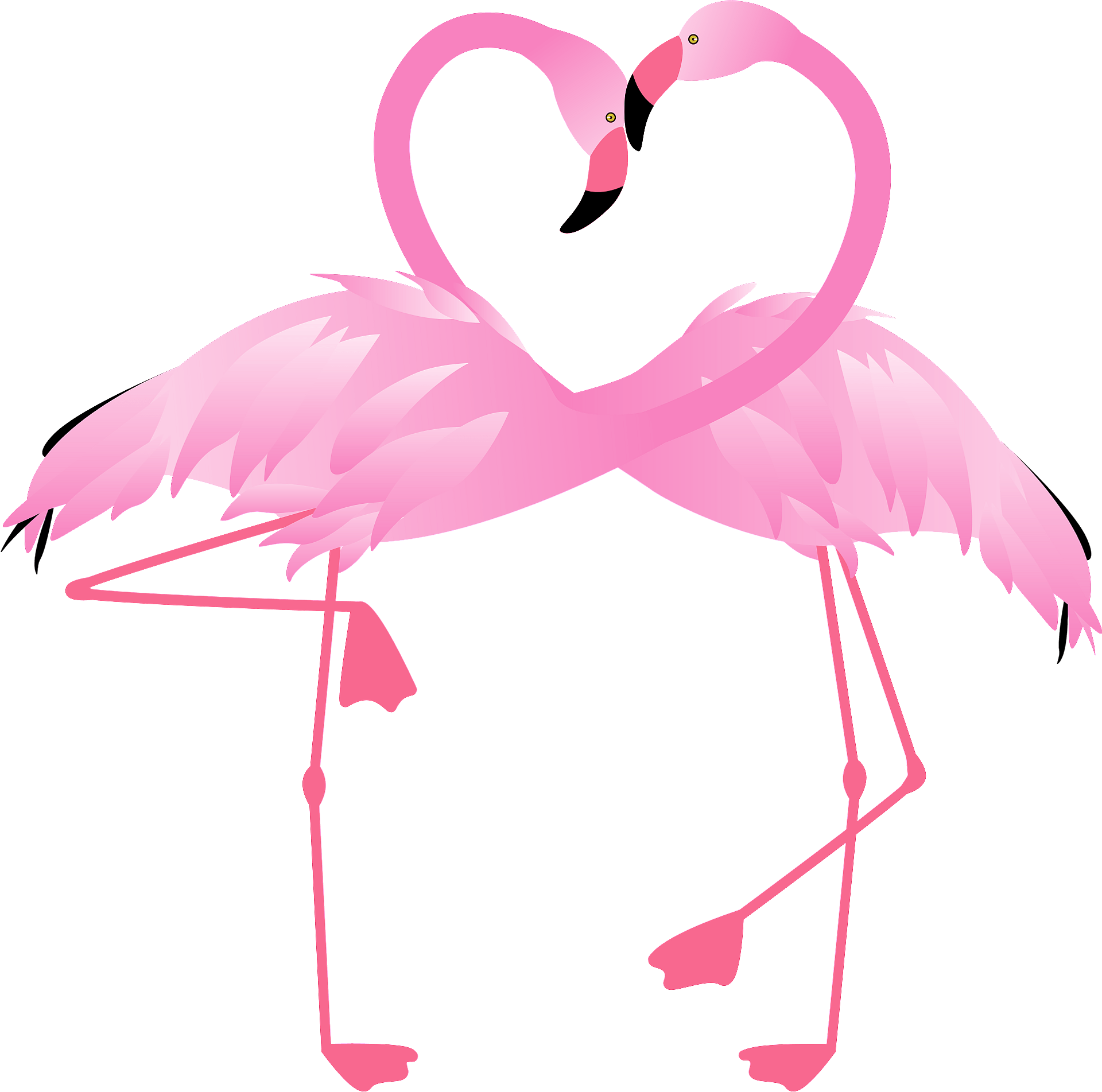 Love Flamingo Bird Vector Transparent PNG