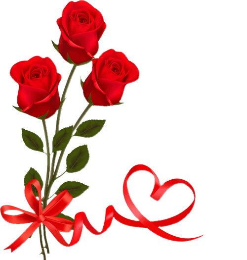 Love Valentines Day Rose Transparent PNG