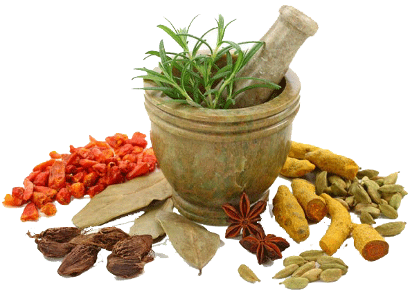 Medicine Herbs PNG Image