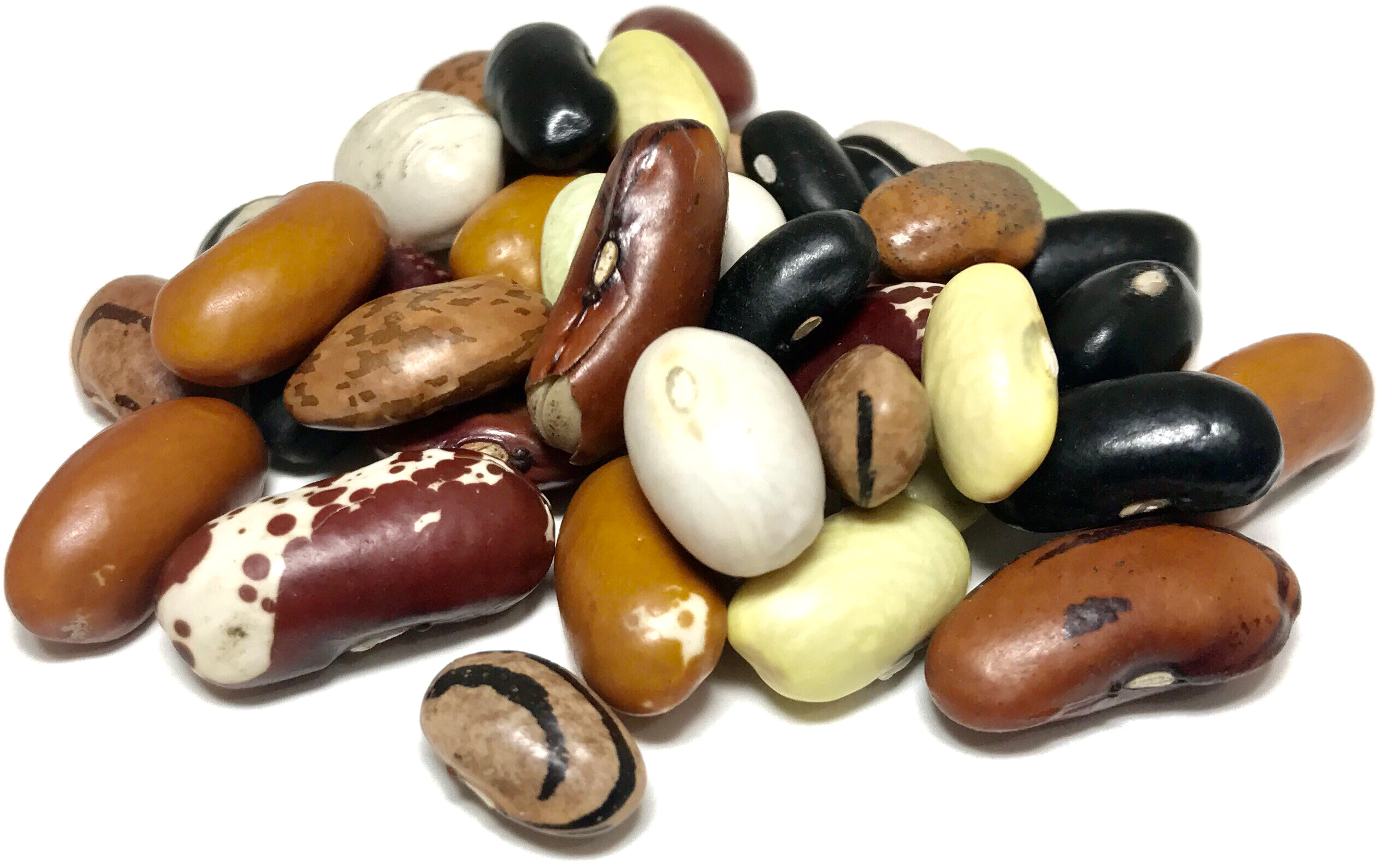 Mixed Kidney Beans PNG