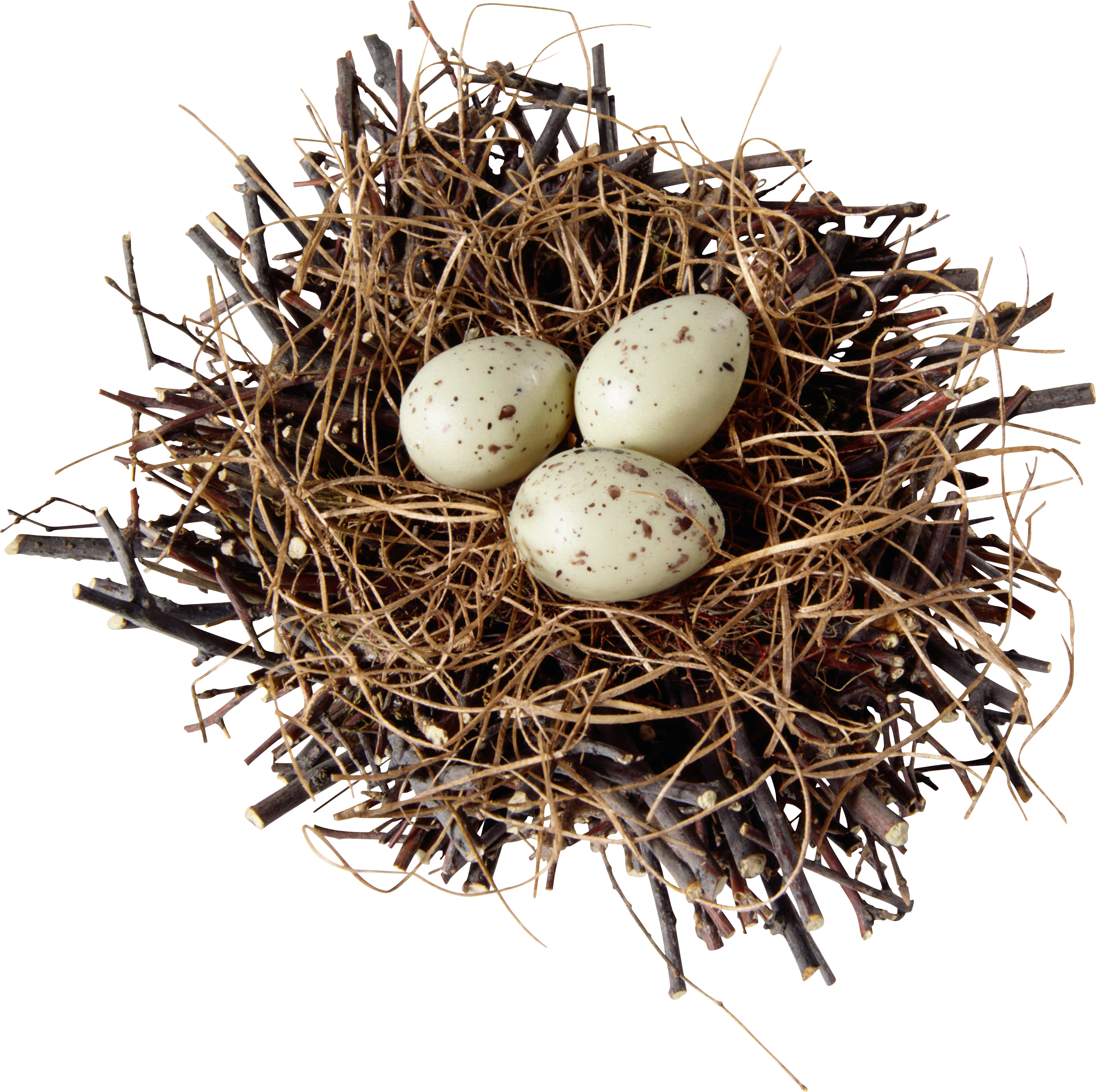 Natural Bird Nest Transparent PNG