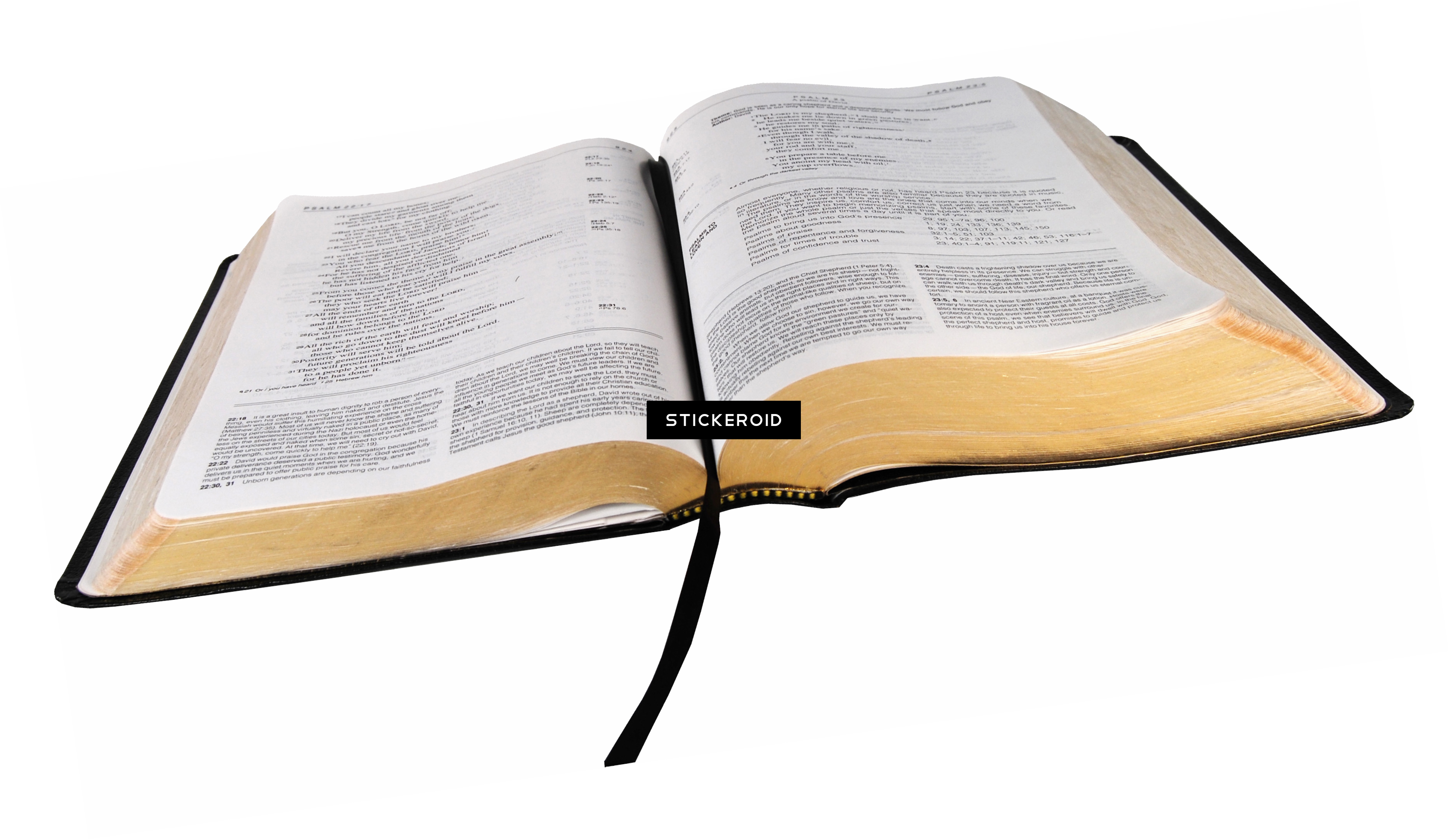 Open Holy Bible PNG Clipart