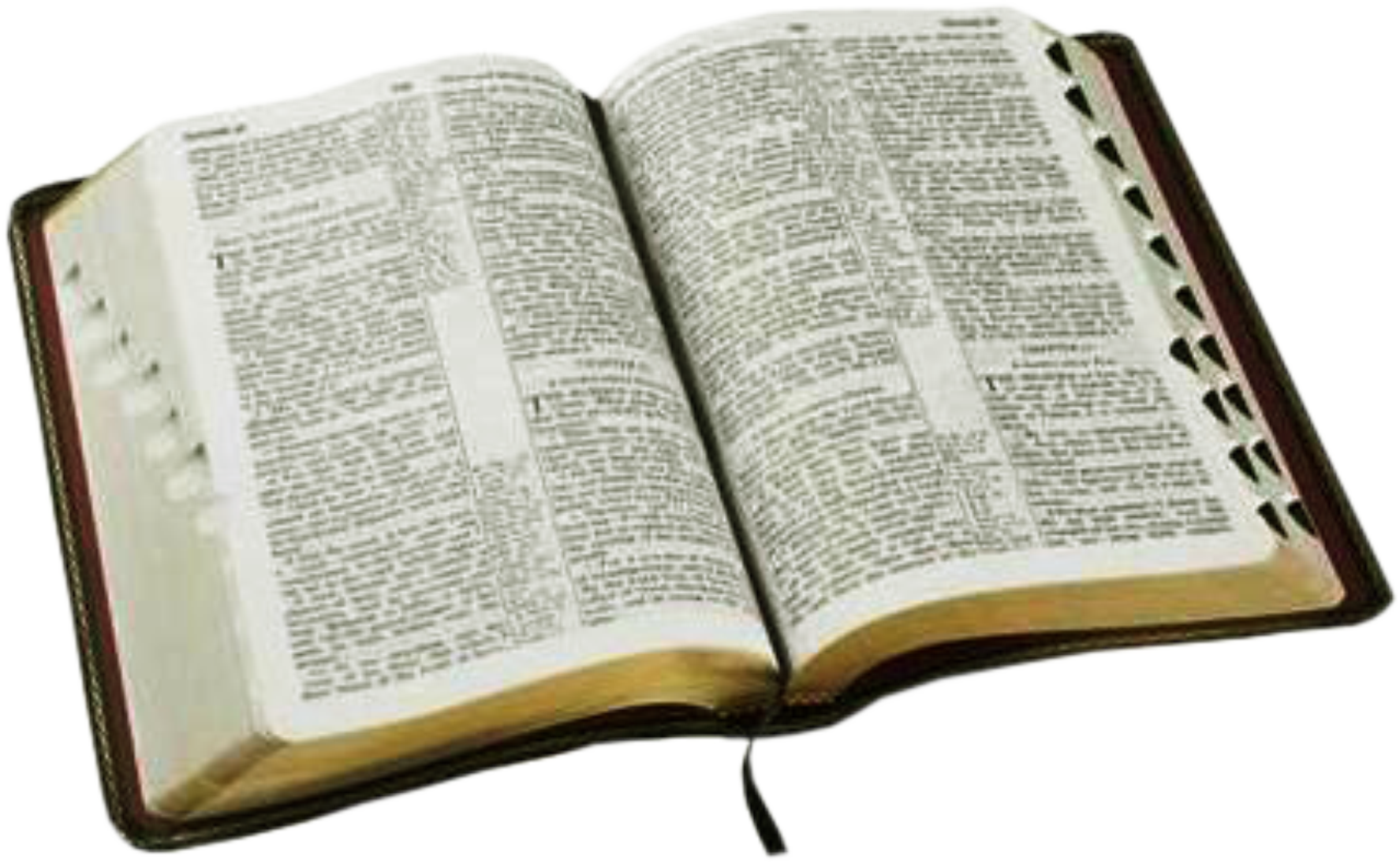 Open Holy Bible PNG File