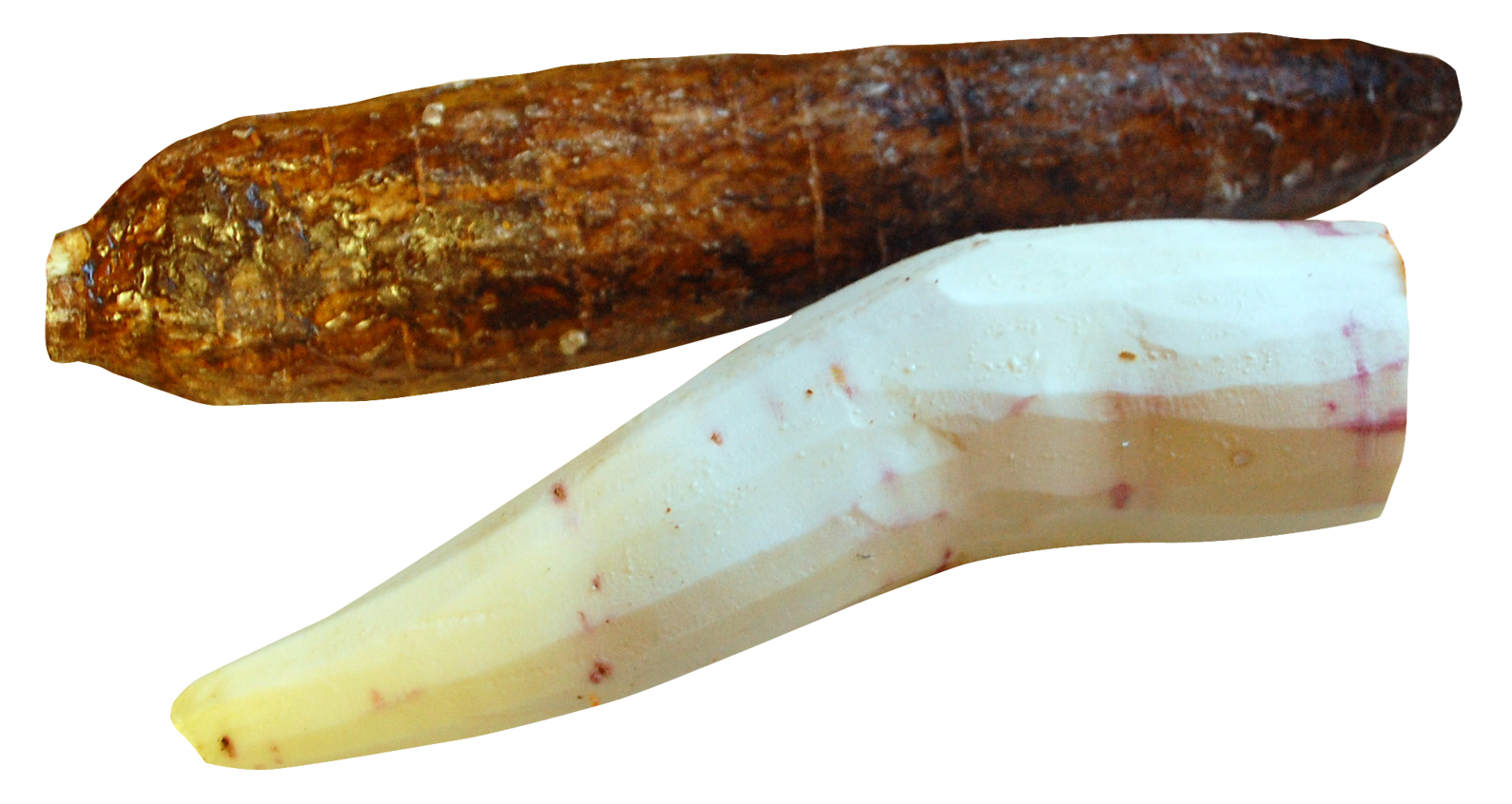 Bio-Cassava-PNG-Fotos