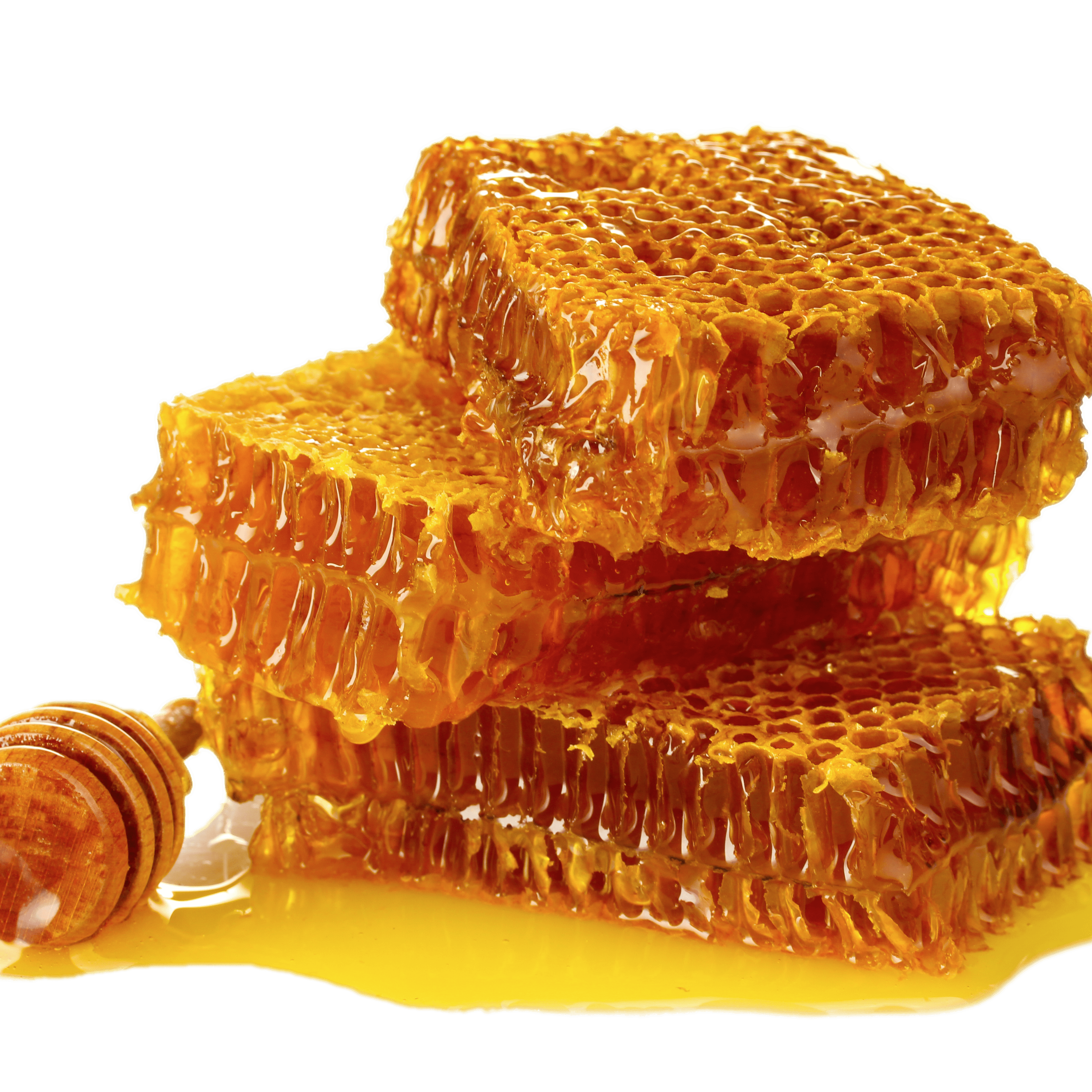 Organic Honeycomb PNG File