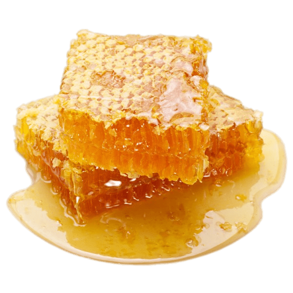 Gambar PNG honeycomb organik