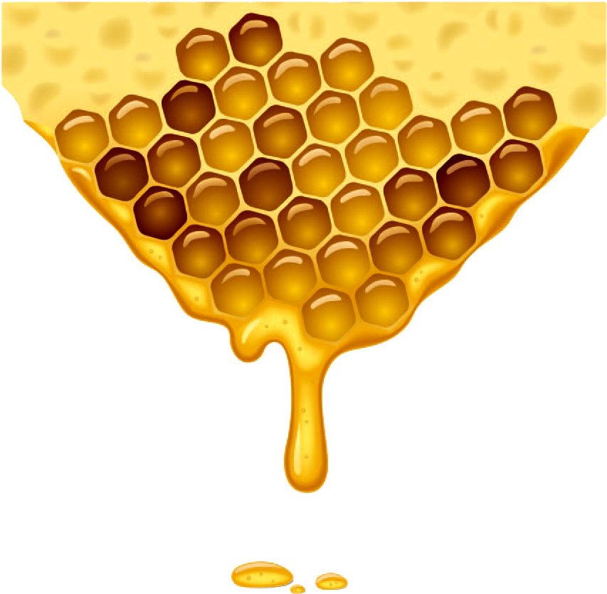 Organic Honeycomb PNG Photos