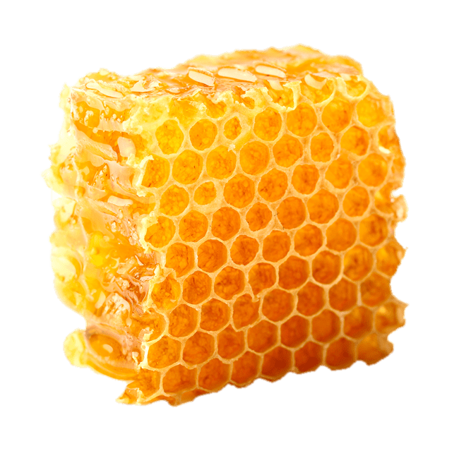 Honeycomb organik Transparan PNG