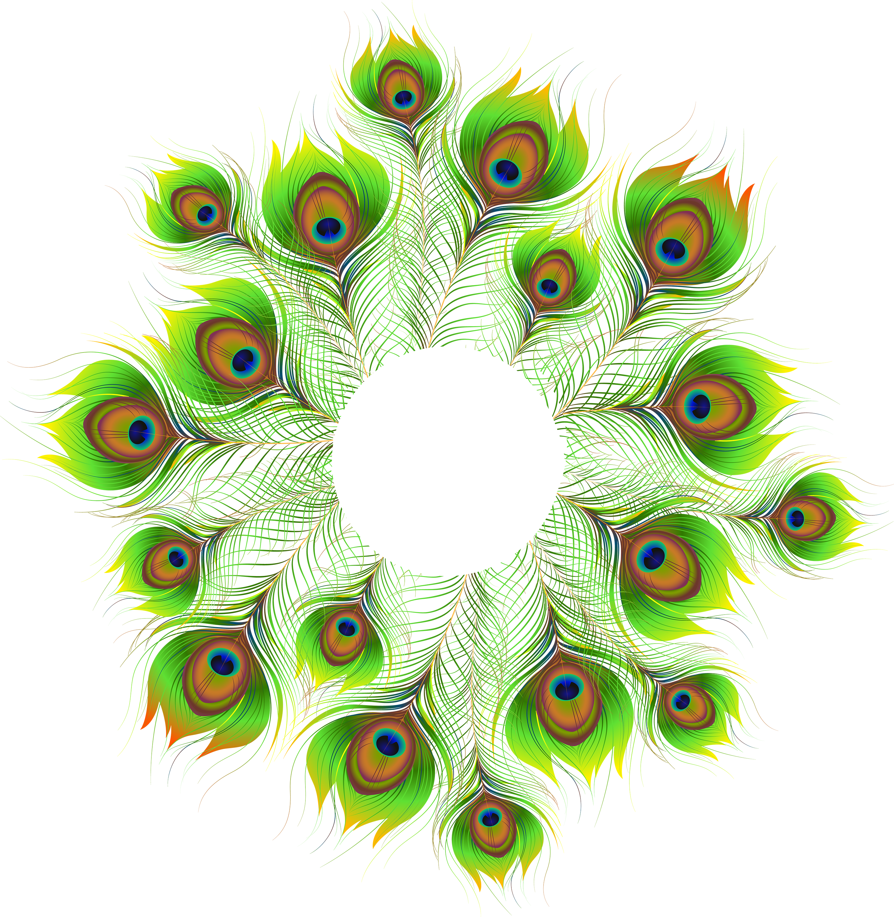 Peacock Feather PNG Transparent Picture