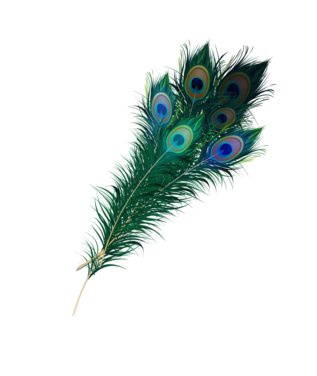 Peacock Feather PNG Transparent