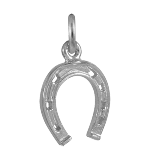 Pendant silver horseshoe PNG Image