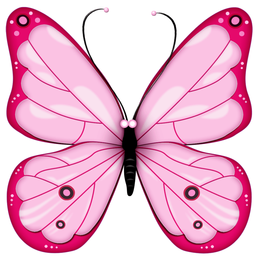 Rosa Butterfly-PNG-Bild