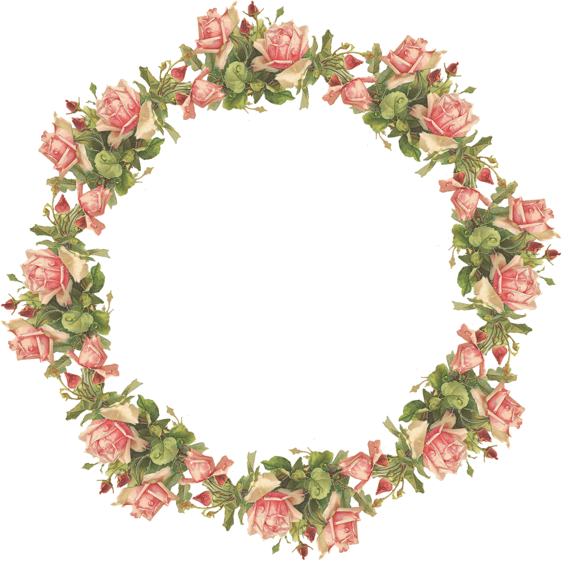กรอบดอกไม้วงกลมสีชมพู PNG โปร่งใส