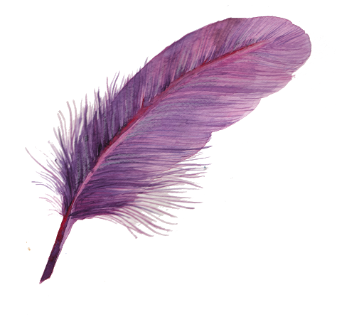 Pink Feather PNG Background Image