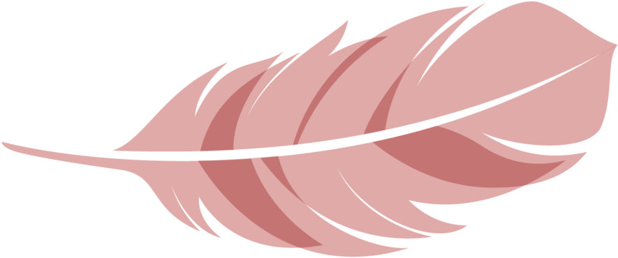 Розовое перо PNG скачать бесплатно