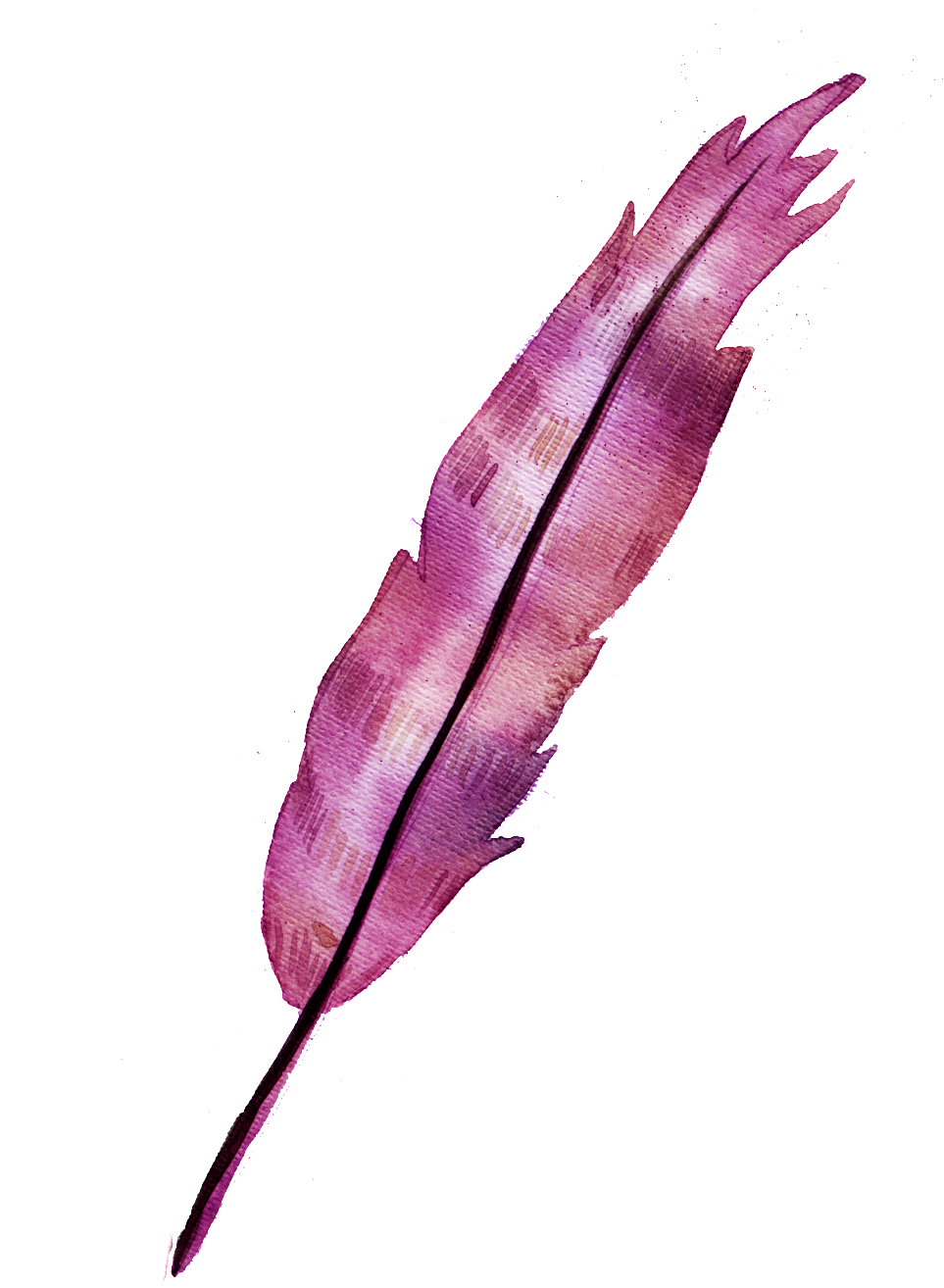 Розовые перья PNG фото