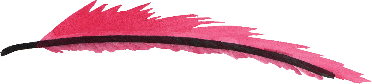 Розовое перо PNG прозрачное HD фото