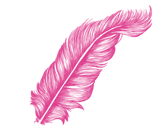 Розовое перо PNG прозрачное изображение