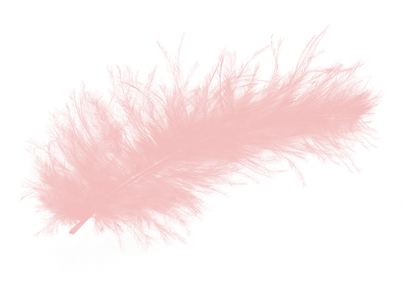 Розовое перо PNG прозрачно
