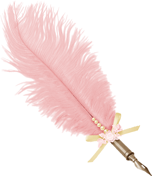 Розовый перо прозрачный фон