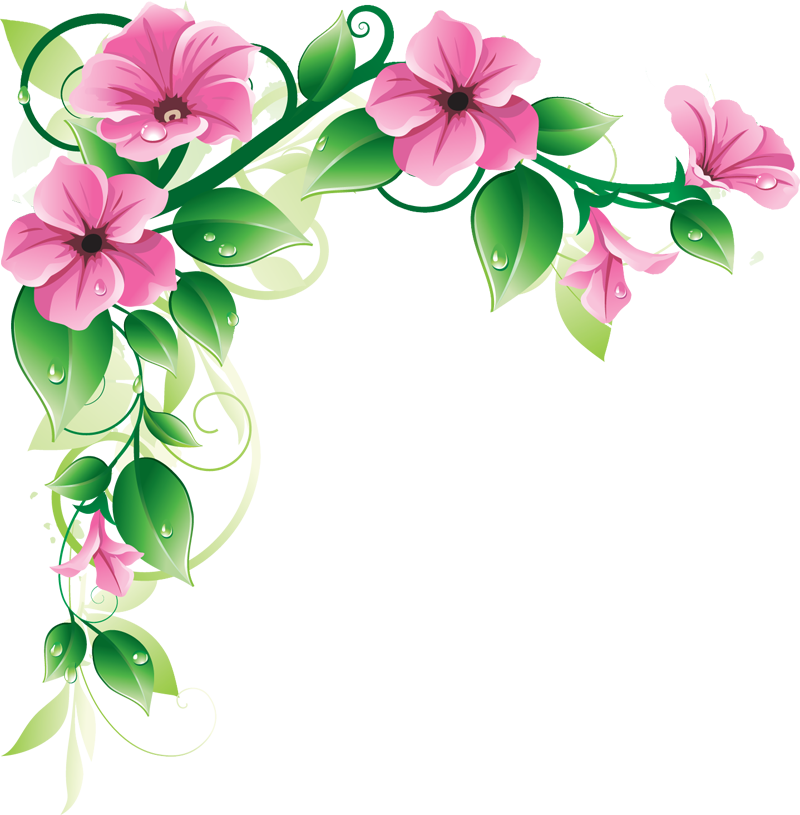 Immagine PNG floreale rosa