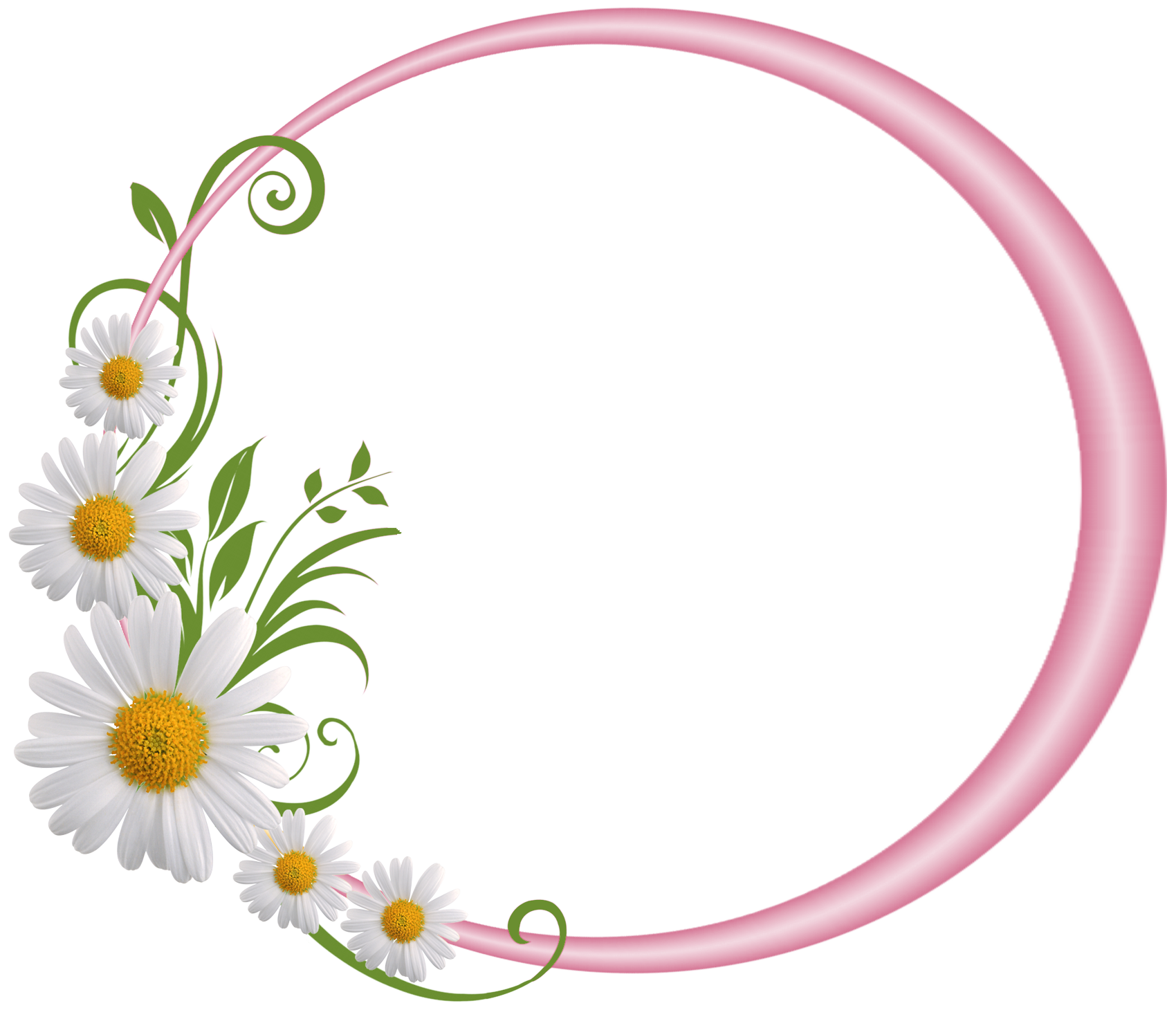กรอบรูปวงกลมลายดอกไม้สีชมพูภาพถ่าย PNG