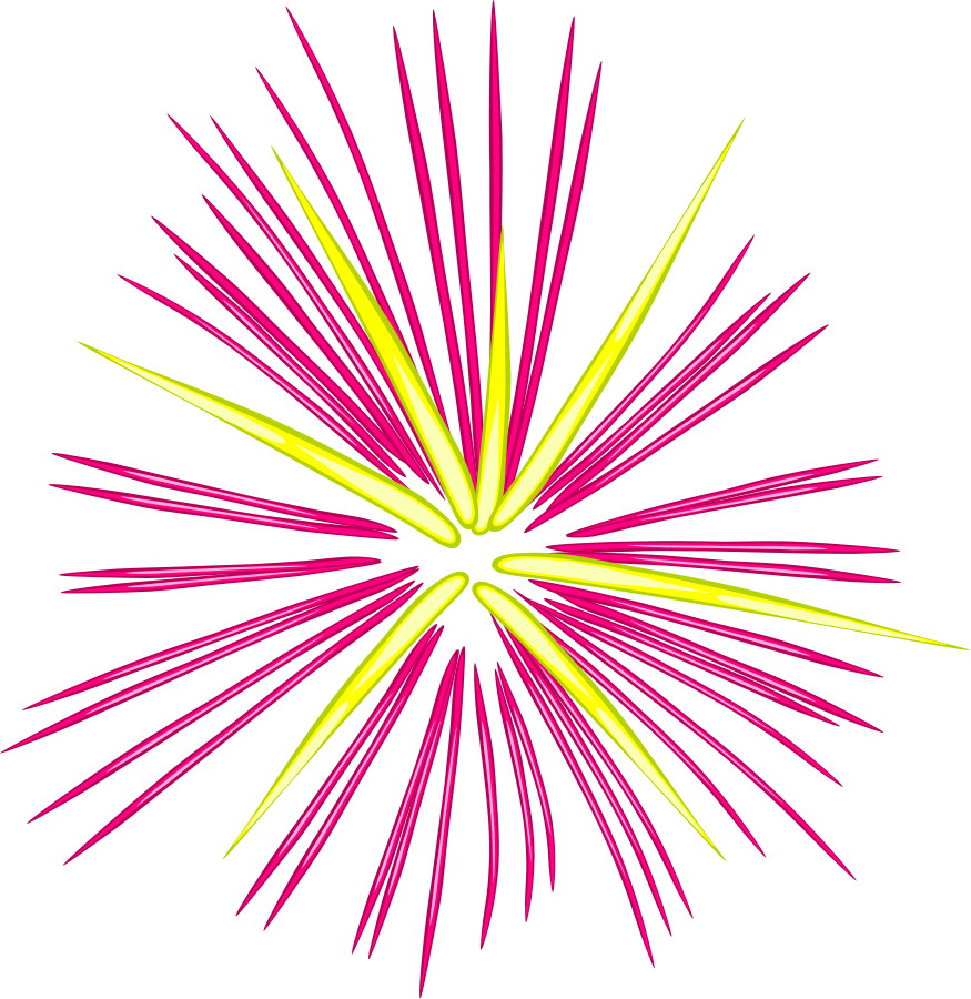 สีชมพูเวกเตอร์ดอกไม้ไฟ PNG Clipart