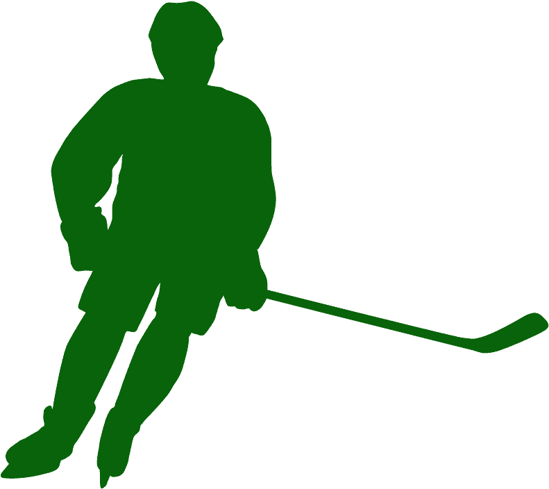 Player Silhouette Field Fichier PNG de hockey