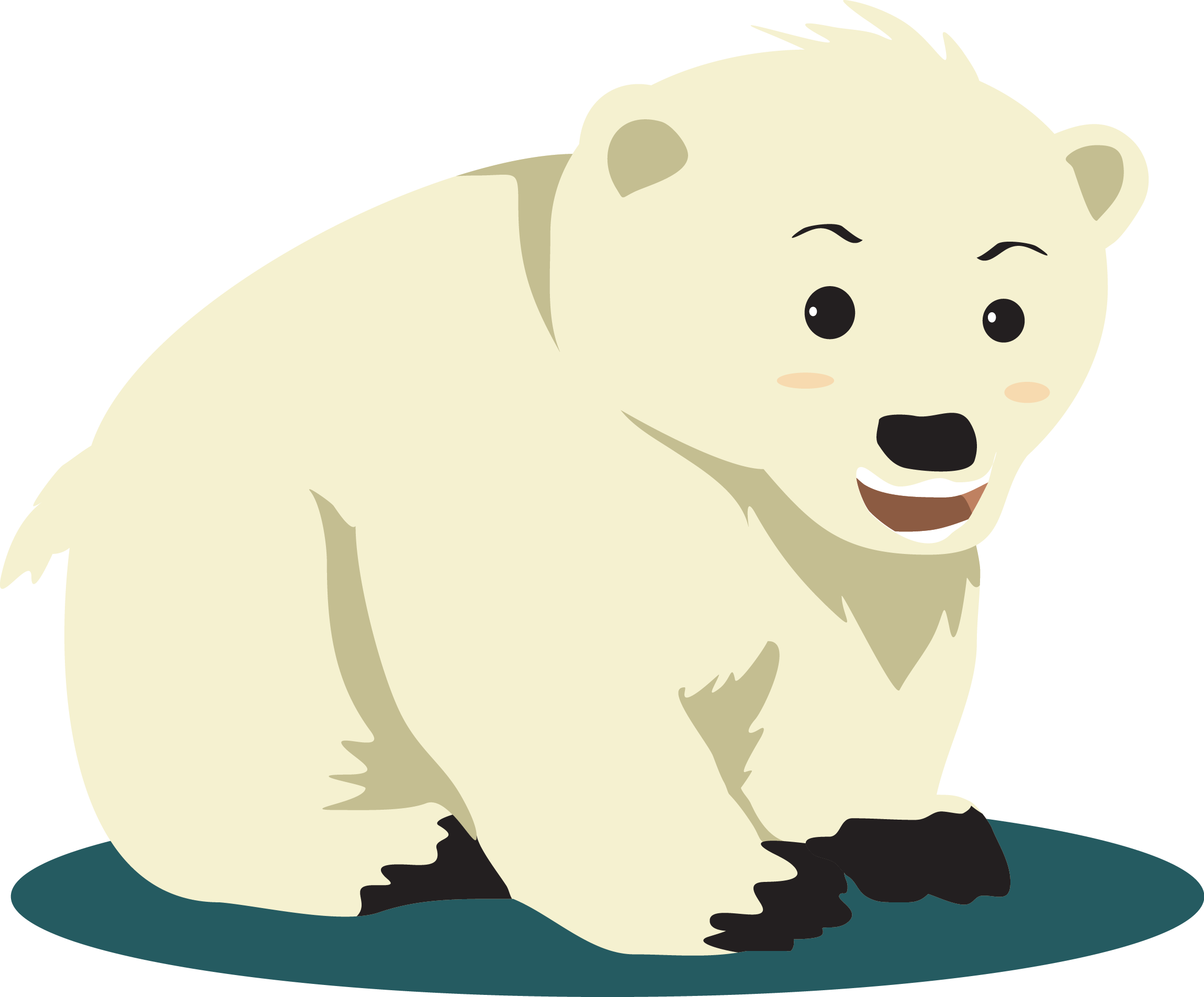 Kutup ayısı vektör şeffaf PNG