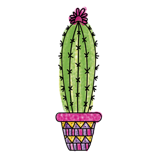 Prickly cactus plant vector PNG Clipart